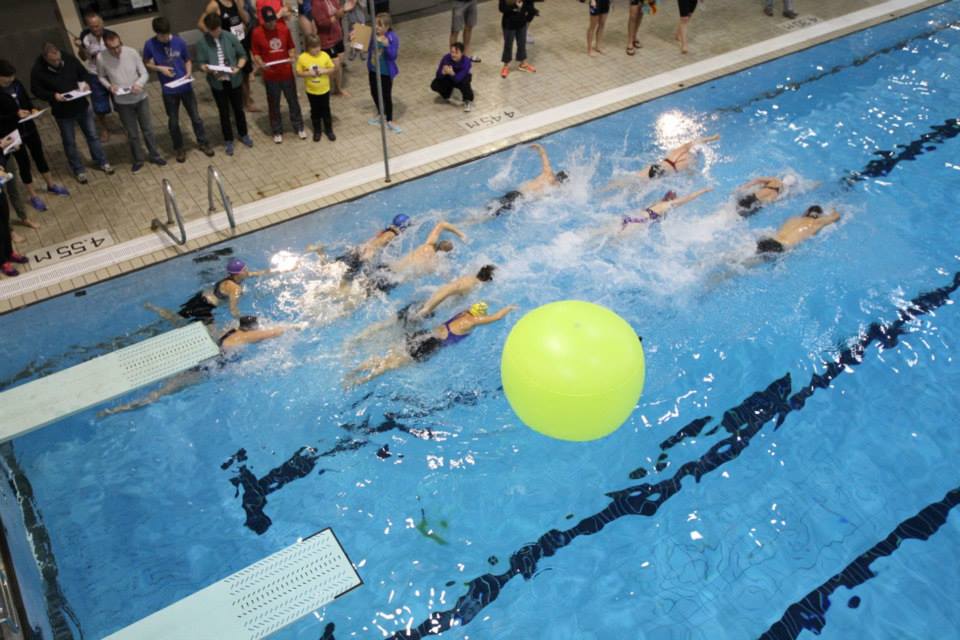 1375957_958561214169116_4049066501043496115_n